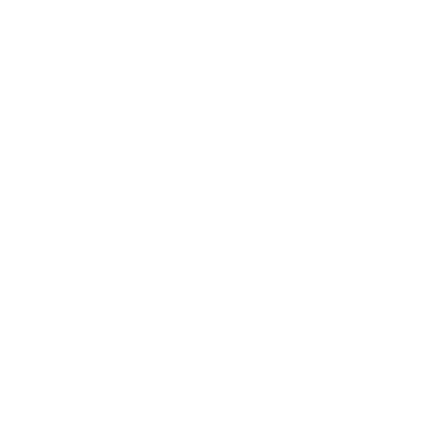 Store India